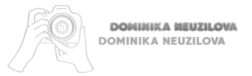 Dominika's logo